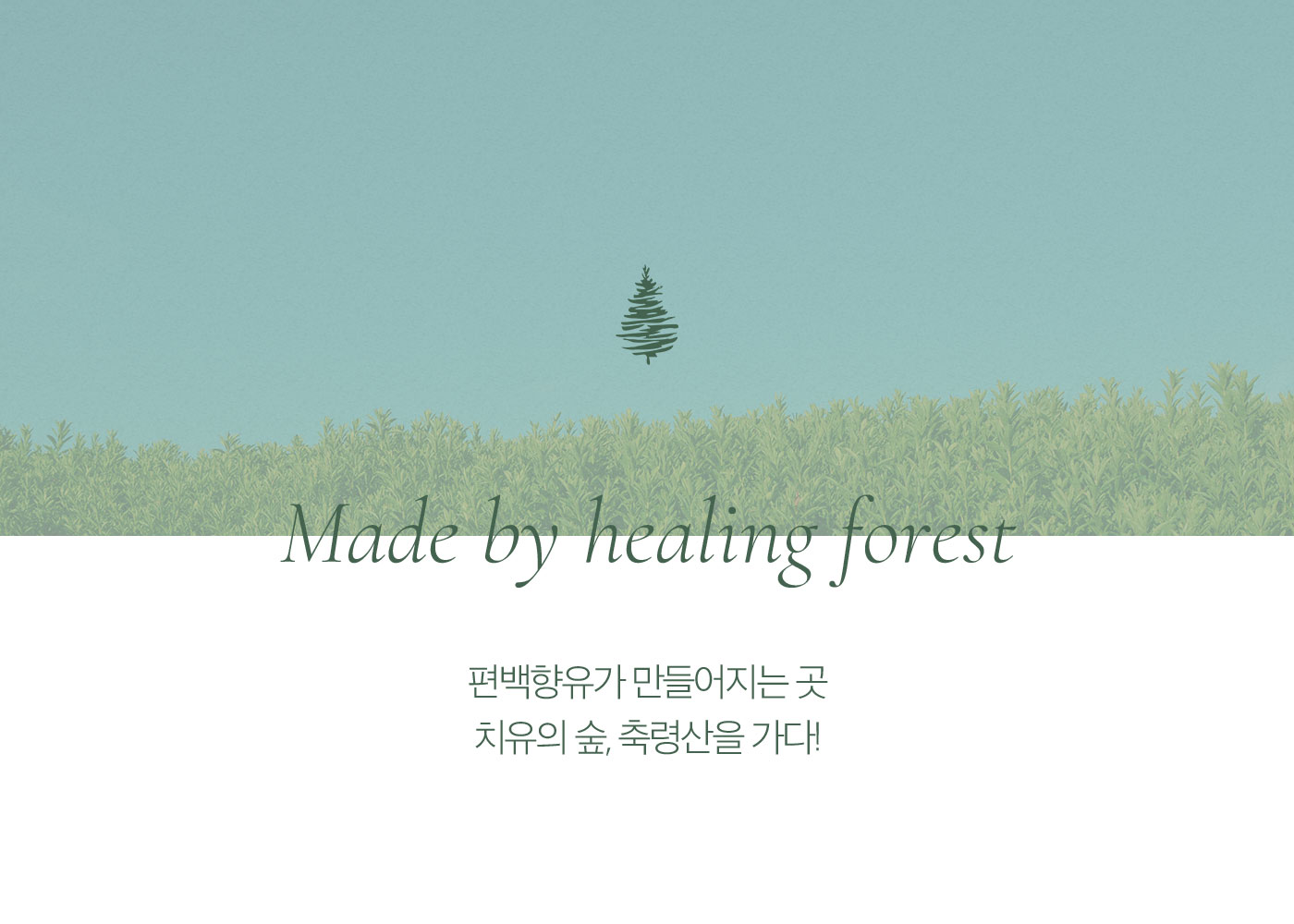 Made by healing forest
